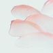 Image Skincare Ormedic Sheer PINK Lip Enhancement Complex O-206 фото 3